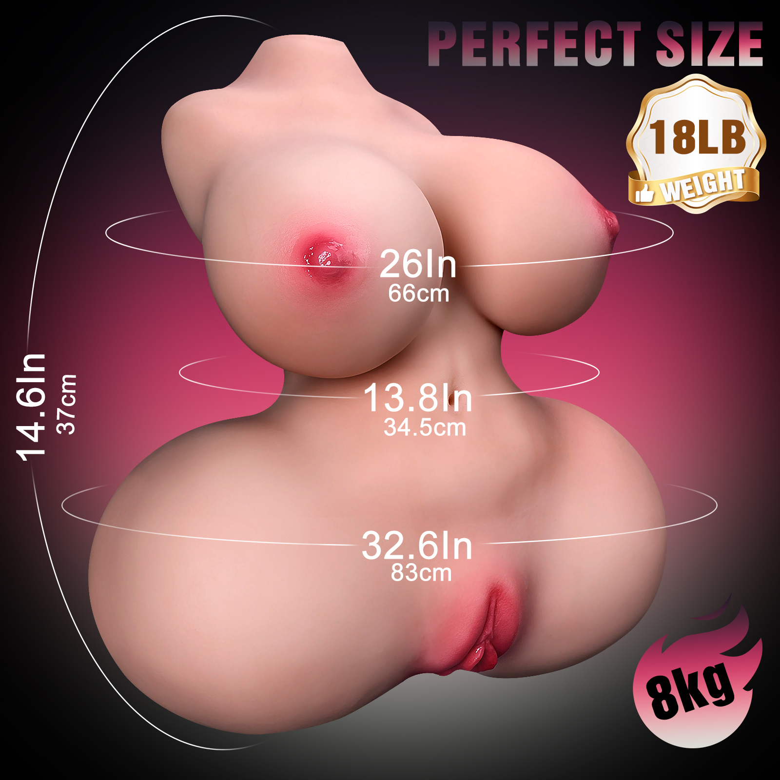 37cm TPE Realistic Torso Model